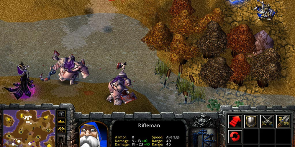 Warcraft III Reign of Chaos game