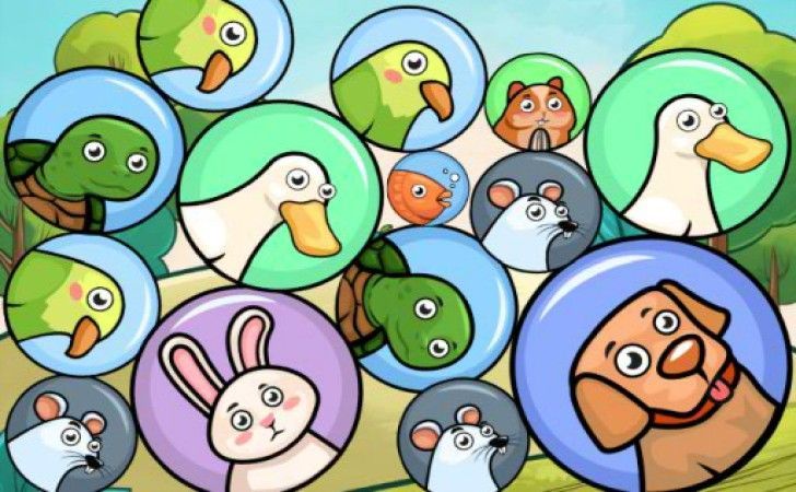 Dream Pet Merge
